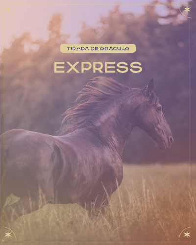 Tirada Express